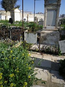CIMETIERE DE TAMAZOUHET D ORAN EN MARS 2012  (37)